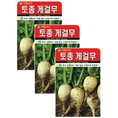 게걸무씨앗 300립 ( 3봉 + 랜덤씨앗1봉 ) 게걸무 무씨앗 토종무 가을무, 1개