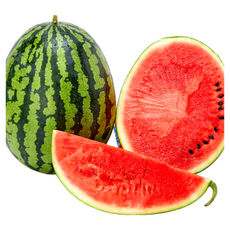 [베스트셀러]참새마켓 달고 시원한 하우스수박, 1개, 4~5kg