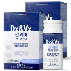 디엑스앤브이엑스 덱스벡스 간케어, 2개, 30정