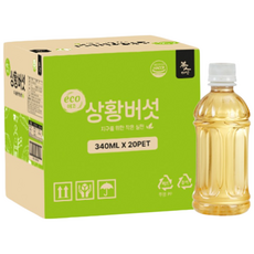 무라벨 에코 상황버섯 340ml 20입, 2박스