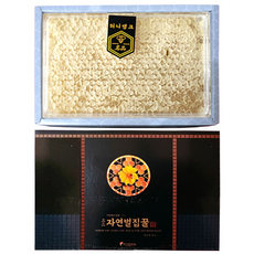 벌집꿀 꿀선물세트 국산벌집꿀 통벌집꿀 답례품 부모님 선물 -단품포장 선물세트포장, 1박스, 250g