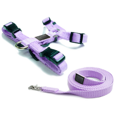 ATTI FRIEND 狗狗防前衝H型胸背帶 + 織帶牽繩套組, 紫羅蘭色, 1套