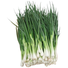 [굿피플] 깐쪽파 쪽파 파 깐파 흙쪽파 실파 잔파, 1박스, 1kg