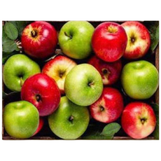 엠제이에스 명화그리기 50x40cm (캔버스형) DIY 유화 세트, KK16 - 금전 홍청 사과들, 1개