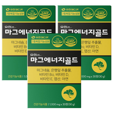 유한메디카 마그에너지골드 마그네슘 350mg 은행잎 추출물 비타민 D 영양제, 3개, 30정