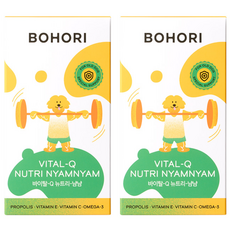 보호리 강아지 기관지 심장 영양제 바이탈Q 뉴트리냠냠, 15회분, 호흡기/기관지, 2개