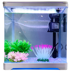 MOBYDICK 韓方藥罐全套 GT-300, 白色的