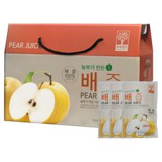 갈아만든배즙 NFC착즙 배착즙액 생배즙 순수한배즙 배즙100%, 30개, 100ml