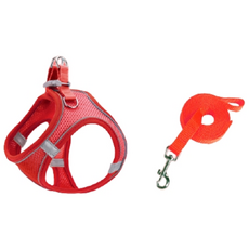 치타샾 강아지 고양이 빛반사 하네스세트, 레드, 1세트
