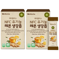 케어플러스 식약청인증 NFC 유기농 레몬생강즙 원액 100% 진저레몬샷 스틱, 225g, 1개