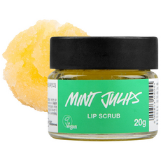 러쉬 립 스크럽, 민트 줄립스, 1개, 20g