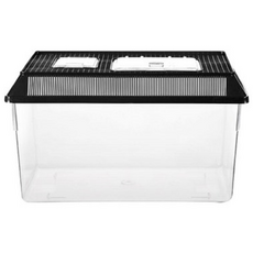 뉴런 사각채집통 왕대 사이즈 블랙컬러 (인기끝판왕 제품), 블랙, 1개