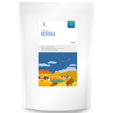 닥터루트 모링가차 삼각티백, 1.2g, 100개입, 1개