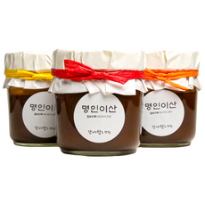 명인이산 국산 꿀 생강차 환절기 감기예방 천연벌꿀 생강청, 500g, 1개, 1개입, 천연벌꿀생강차 가족형