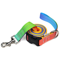 페르니 반사형 강아지 핸즈프리 멀티 리드줄, 레인보우팝, 1개