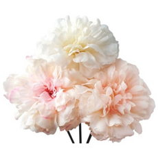 시즈넬 디퓨저 플라워스틱 지니아, 혼합, 3개, 1개입