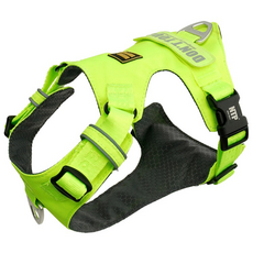 Needs the Pet. 狗狗茵特拉肯超輕量輕型胸背帶, 霓虹黃