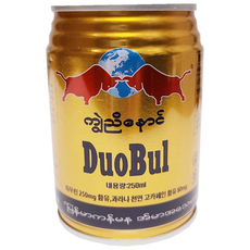 터보마켓 중국식품 훙뉴 캔음료 비타음료 웨이타, 250ml, 1개