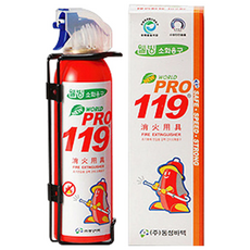 월드프로119 국산정품 자동차량 간이소화기 소형 레드, 255ml, 1개