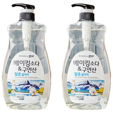참그린 베이킹소다 & 구연산 주방세제, 1kg, 2개