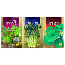 삼대씨앗 봄씨앗세트 참당귀 일당귀씨앗 참나물씨앗 곰취씨앗 산야초씨앗세트 삼대씨앗, 3개