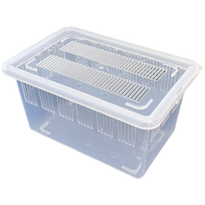 중형 JIF 적재형 케이지, 1개, 반투명