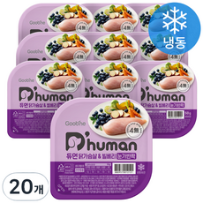 듀먼 전연령용 강아지 눈가반짝 화식사료, 닭, 50g, 20개