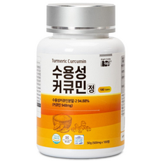 백세식품 BSF 수용성 강황 커큐민 정 500mg x 100정 HACCP인증, 1개