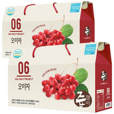즙쟁이 오미자즙 2박스 60포, 2.4L