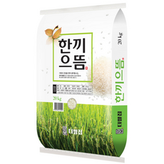 당일도정 맛있는 한끼 으뜸쌀 20kg, 1개