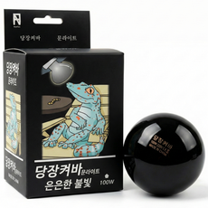 당장켜바 은은한불빛 문라이트스팟램프 100W, 1개, 블랙