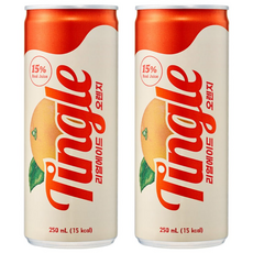 Tingle 리얼에이드 오렌지 프리미엄 과즙 탄산음료, 250ml, 30개