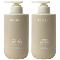 봄비유 판테놀 LPP 단백질 트리트먼트 미용실 극손상모 두피케어 헤어팩, 2개, 500ml