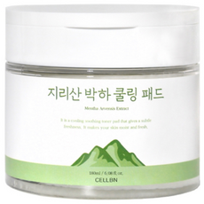 셀비엔 지리산 박하 쿨링패드 180ml(70EA), 70매입, 1개