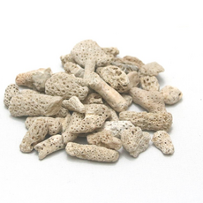 [ 뼈산호사 ] 50g - 염도 제거 자외선 살균 건조 처리 된 천연 칼슘 산호, 뼈산호사 50g, 1개