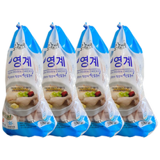 참프레 백숙용 냉동 영계 삼계탕용 생닭, 4개, 500g