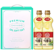 해표 식용유 선물세트 500ml x 2병 요리용 식용유세트, 1세트