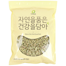 자연닮음 회향 펜넬 산미나리씨앗 500g, 1개