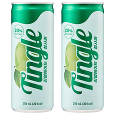 팅글 리얼에이드 청사과 250ml x 30캔, 30개