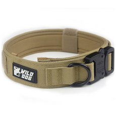 와일드독 강아지 메탈칼라 목줄, 틴브라운, 1개