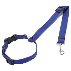 딜헤븐 강아지 차량 안전벨트, 블루, 1개