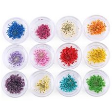 Tenezer乾燥花壓花造型美甲裝飾品 12件組, 混色, 1套