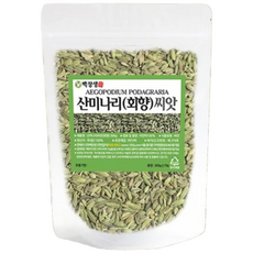 백장생 산미나리 씨앗, 1개, 300g