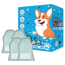 와우 일회용 강아지 신발 숨쉬는 신나라슈즈 36매, 민트, 1개