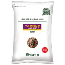 대한농산 렌틸콩, 5kg, 1개