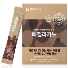 에버비키니 다이어트 한잔 빠질라카노 커피맛 28포, 92.4g, 1개