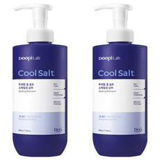 닥터지 두피랩 쿨 솔트 스케일링 샴푸, 500g, 2개