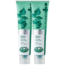 덴티스테 뉴 플러스화이트 치약, 160g, 2개