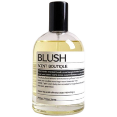 블러쉬 고급 드레스퍼퓸 섬유향수 룸스프레이, 1개, 100ml, 베이(호환)