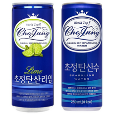 초정탄산수 초정탄산 각30캔, 60개, 250ml